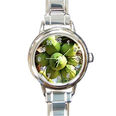 Coconuts 1 Round Italian Charm Watch