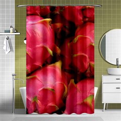 Dragonfruit Shower Curtain 48  X 72  (small)  by trendistuff