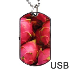 Dragonfruit Dog Tag Usb Flash (one Side) by trendistuff