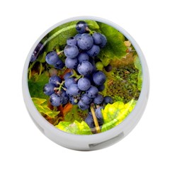 Grapes 1 4-port Usb Hub (two Sides)  by trendistuff