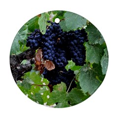 Grapes 3 Round Ornament (two Sides) by trendistuff