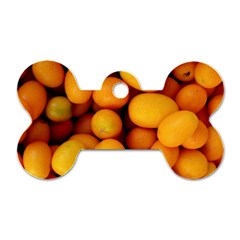 Kumquat 1 Dog Tag Bone (two Sides) by trendistuff