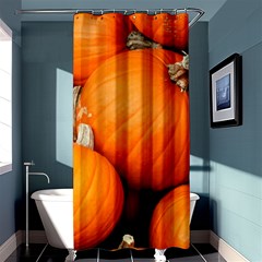 Pumpkins 1 Shower Curtain 36  X 72  (stall)  by trendistuff