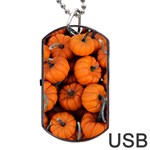 PUMPKINS 2 Dog Tag USB Flash (Two Sides) Front