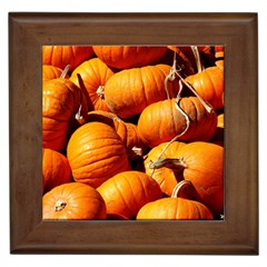 Pumpkins 3 Framed Tiles by trendistuff