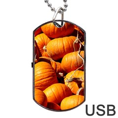 Pumpkins 3 Dog Tag Usb Flash (one Side) by trendistuff