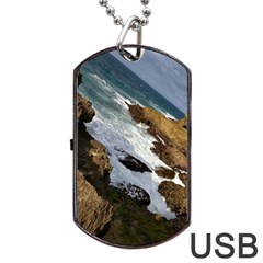 Jobo Beach Isabela Puerto Rico  Dog Tag Usb Flash (one Side) by StarvingArtisan