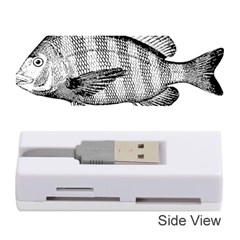 Animal Fish Ocean Sea Memory Card Reader (stick)  by Nexatart