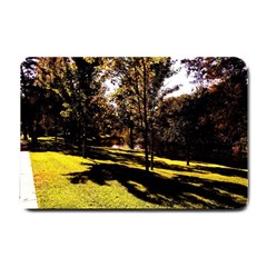 Highland Park 17 Small Doormat  by bestdesignintheworld