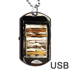 Dscf1952 - Pandora Box Dog Tag Usb Flash (one Side) by bestdesignintheworld