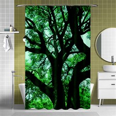 Lake Park 3 Shower Curtain 48  X 72  (small)  by bestdesignintheworld