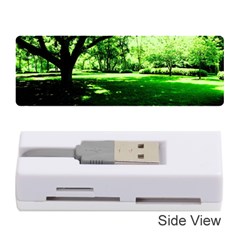 Lake Park 14 Memory Card Reader (stick)  by bestdesignintheworld