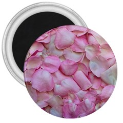 Romantic Pink Rose Petals Floral  3  Magnets by yoursparklingshop