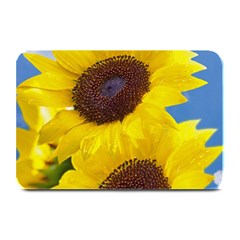 Sunflower Floral Yellow Blue Sky Flowers Photography Plate Mats by yoursparklingshop