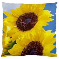 Sunflower Floral Yellow Blue Sky Flowers Photography Large Cushion Case (one Side) by yoursparklingshop