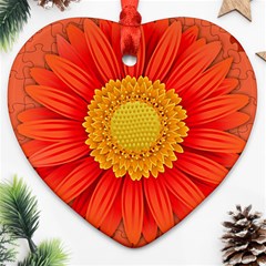 Flower Plant Petal Summer Color Ornament (heart)