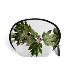 Leaves Plant Branch Nature Foliage Accessory Pouches (small)  by Sapixe