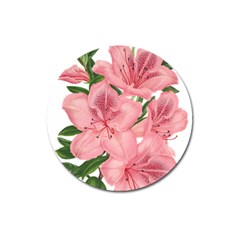 Flower Plant Blossom Bloom Vintage Magnet 3  (round) by Sapixe