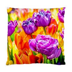 Tulip Flowers Standard Cushion Case (one Side)