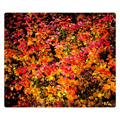 Orange, Yellow Cotoneaster Leaves In Autumn Double Sided Flano Blanket (small) 