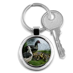 Muscovy Family Key Chains (round)  by IIPhotographyAndDesigns