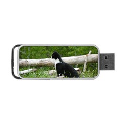 Farm Cat Portable Usb Flash (one Side) by IIPhotographyAndDesigns