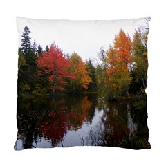 Autumn Pond Standard Cushion Case (two Sides) by IIPhotographyAndDesigns