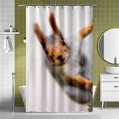 Curious Squirrel Shower Curtain 48  X 72  (small)  by FunnyCow