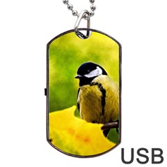 Tomtit Bird Dressed To The Season Dog Tag Usb Flash (two Sides) by FunnyCow