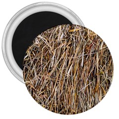 Dry Hay Texture 3  Magnets by FunnyCow