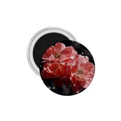 Rose 572757 1920 1 75  Magnets by vintage2030