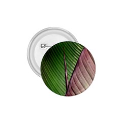 Leaf Banana Leaf Greenish Lines 1 75  Buttons by Sapixe