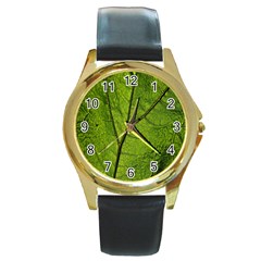 Butterbur Leaf Plant Veins Pattern Round Gold Metal Watch by Sapixe