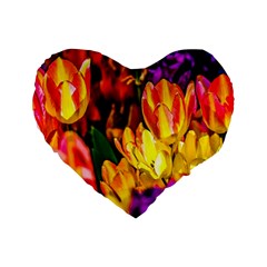 Fancy Tulip Flowers In Spring Standard 16  Premium Heart Shape Cushions by FunnyCow