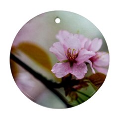 Soft Rains Of Spring Ornament (round) by FunnyCow