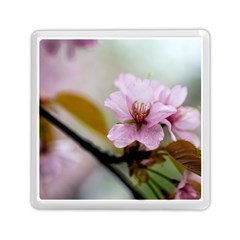 Soft Rains Of Spring Memory Card Reader (square) by FunnyCow