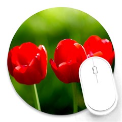 Three Red Tulips, Green Background Round Mousepads by FunnyCow