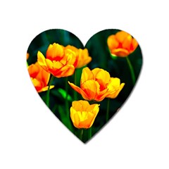 Yellow Orange Tulip Flowers Heart Magnet by FunnyCow