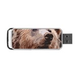 Bear Looking Portable USB Flash (Two Sides) Front