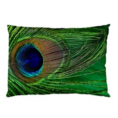 Peacock Feather Macro Peacock Bird Pillow Case (two Sides)