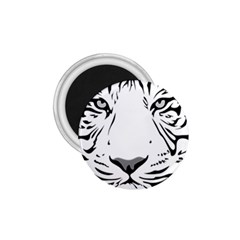 Tiger Black Ans White 1 75  Magnets