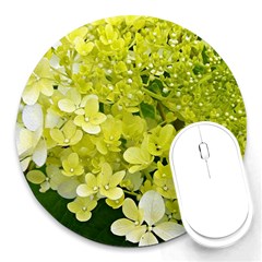 Elegant Chartreuse Green Limelight Hydrangea Macro Round Mousepads by myrubiogarden