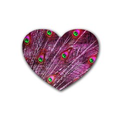 Peacock Feathers Color Plumage Heart Coaster (4 Pack) 