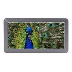 Peacock Close Up Plumage Bird Head Memory Card Reader (mini) by Wegoenart