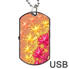 Fractal Math Mathematics Science Dog Tag Usb Flash (two Sides) by Wegoenart