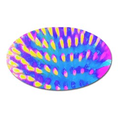 Pink, Blue And Yellow Abstract Coneflower Oval Magnet by myrubiogarden