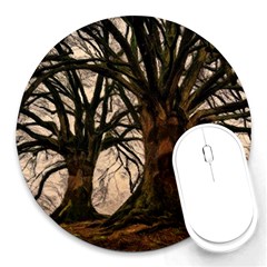 Ent Treant Trees Tree Bark Barks Round Mousepads by Pakrebo