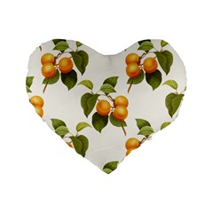 Apricot Fruit Vintage Art Standard 16  Premium Heart Shape Cushions by Pakrebo