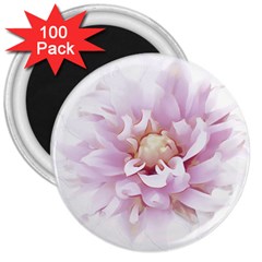 Abstract Transparent Image Flower 3  Magnets (100 Pack) by Pakrebo