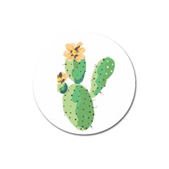 Cactaceae Thorns Spines Prickles Magnet 3  (round) by Mariart
